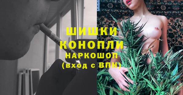 сатива Армянск