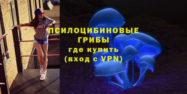 сатива Армянск