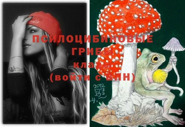 сатива Армянск