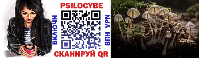 Псилоцибиновые грибы прущие грибы  как найти закладки  Асино 